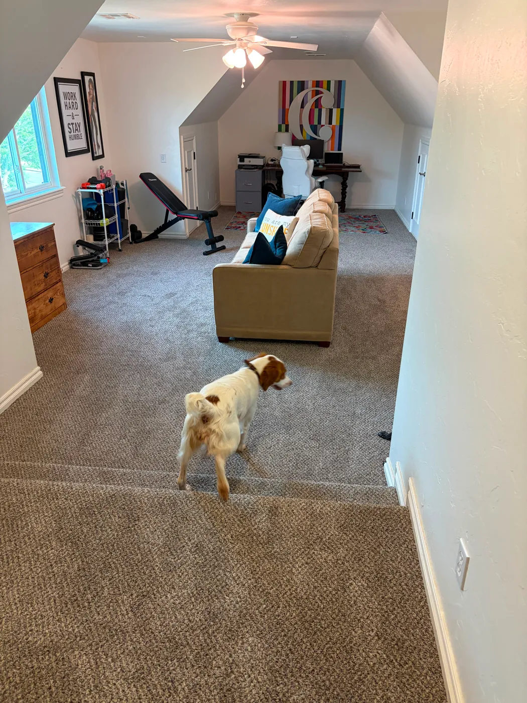 Freshly carpeted upstairs bonus room in an OKC home